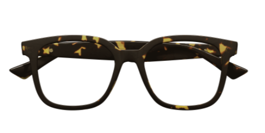 Bottega Veneta Square Acetate Eyeglasses