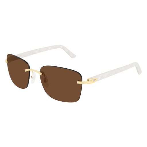 C Allongé de Cartier Motif Square Acetate Sunglasses