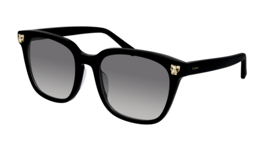 Panthère de Cartier Square Acetate Sunglasses