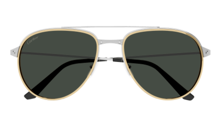 Santos de Cartier Aviator Metal Polarized Sunglasses