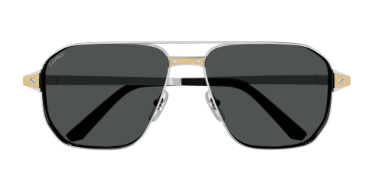 Santos de Cartier Aviator Metal Polarized Sunglasses