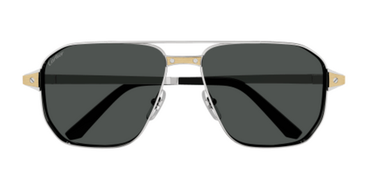 Santos de Cartier Aviator Metal Polarized Sunglasses
