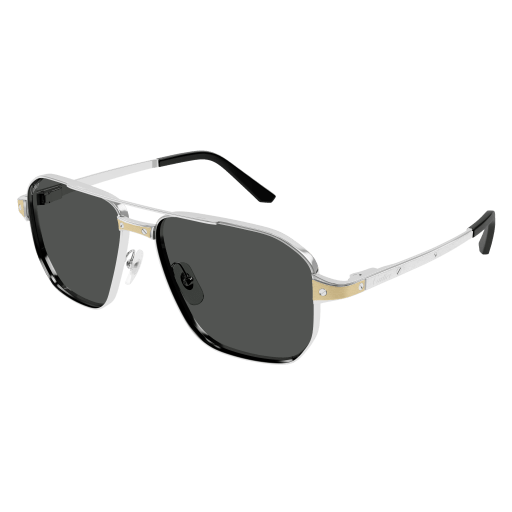 Santos de Cartier Aviator Metal Polarized Sunglasses