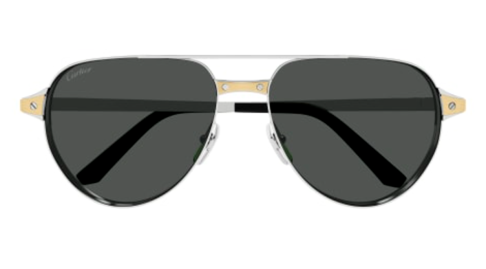 Santos de Cartier Aviator Metal Polarized Sunglasses