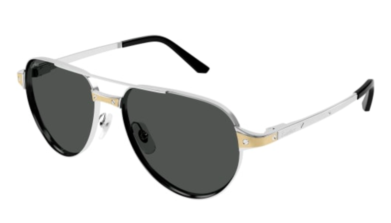 Santos de Cartier Aviator Metal Polarized Sunglasses