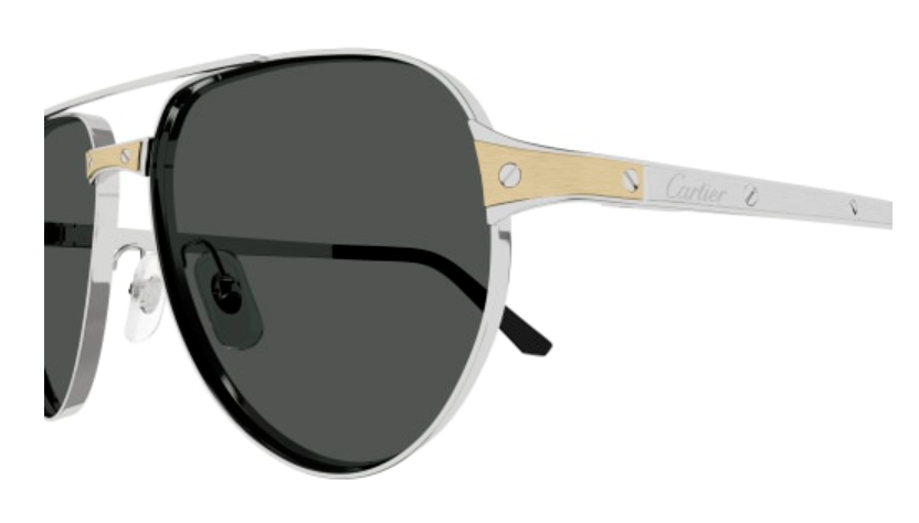 Santos de Cartier Aviator Metal Polarized Sunglasses