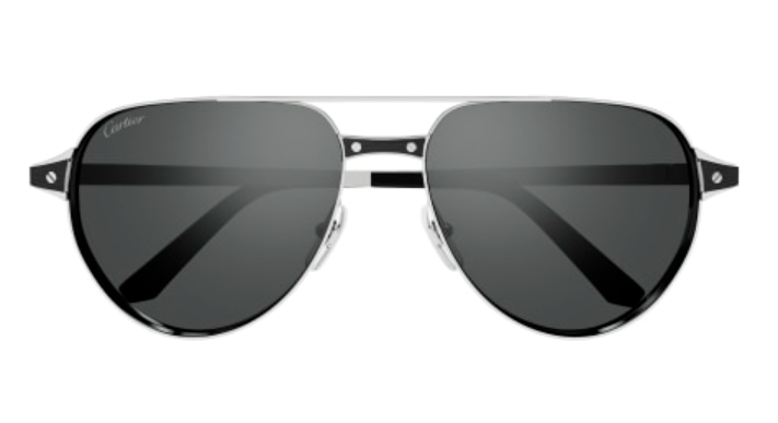 Santos de Cartier Aviator Metal Polarized Sunglasses