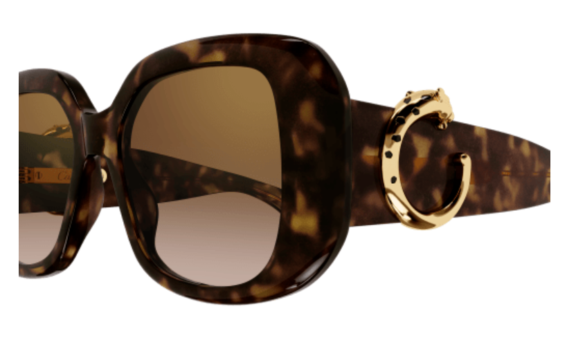 Panthère de Cartier Square Acetate Sunglasses