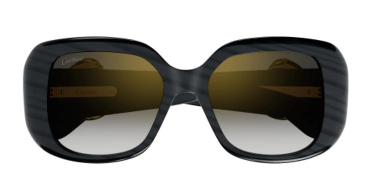 Panthère de Cartier Square Acetate Sunglasses