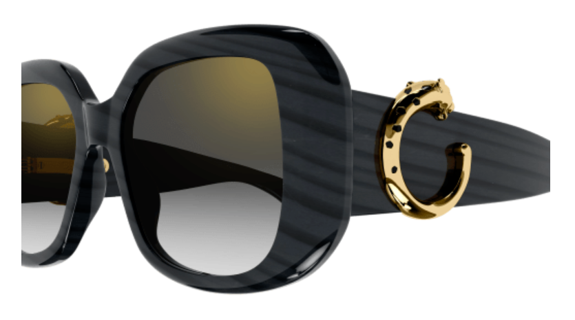 Panthère de Cartier Square Acetate Sunglasses
