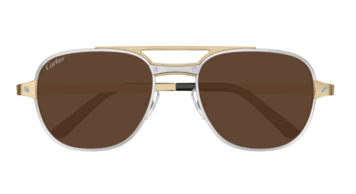Santos de Cartier Aviator Metal Polarized Sunglasses