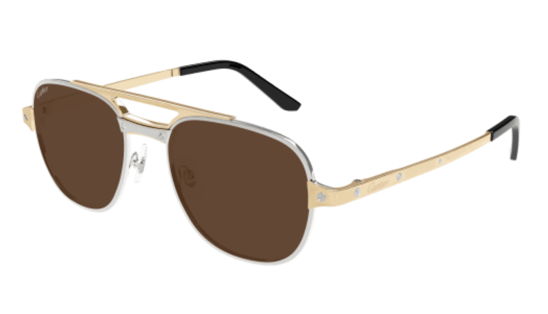 Santos de Cartier Aviator Metal Polarized Sunglasses