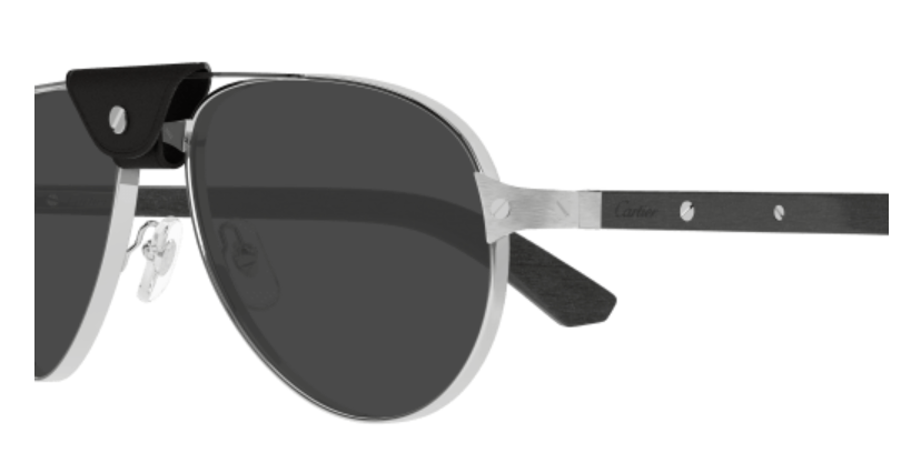 Santos de Cartier Aviator Metal Polarized Sunglasses