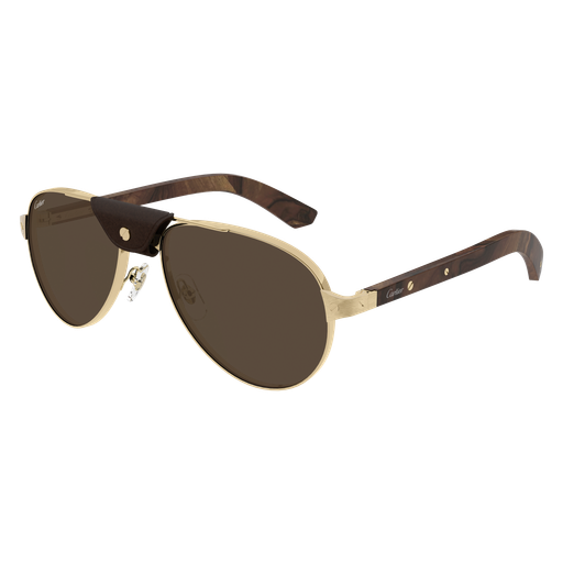 Santos de Cartier Aviator Metal Polarized Sunglasses