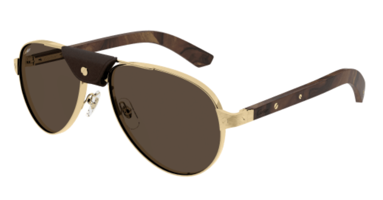 Santos de Cartier Aviator Metal Polarized Sunglasses