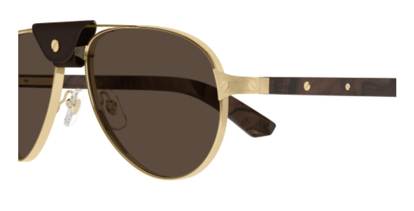 Santos de Cartier Aviator Metal Polarized Sunglasses