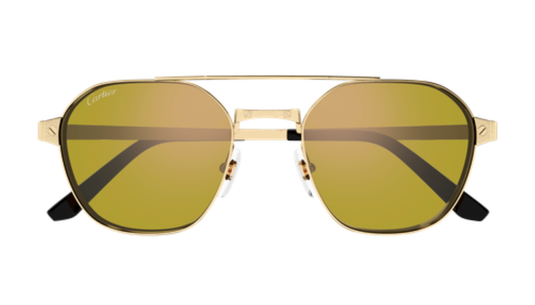 Santos de Cartier Aviator Metal Polarized Sunglasses