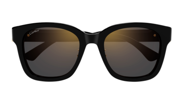Signature C de Cartier Square Acetate Sunglasses