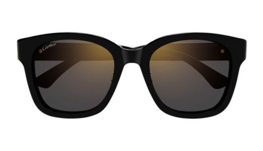 Signature C de Cartier Square Acetate Sunglasses