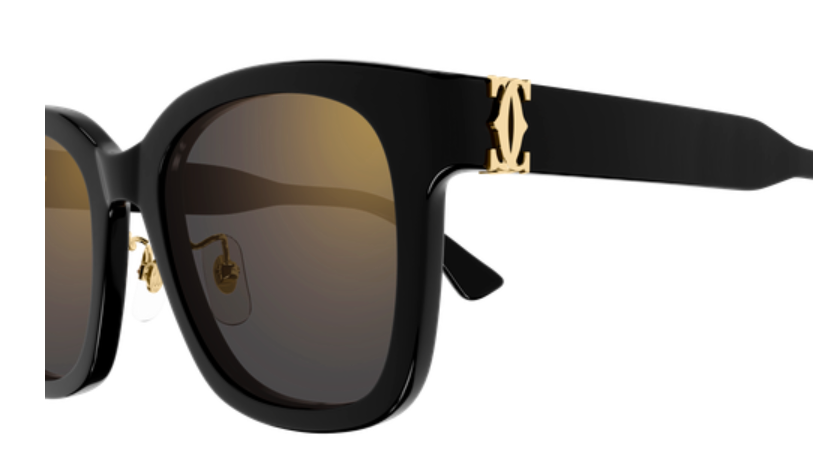 Signature C de Cartier Square Acetate Sunglasses