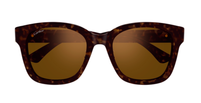 Signature C de Cartier Square Acetate Sunglasses