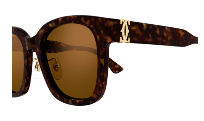 Signature C de Cartier Square Acetate Sunglasses