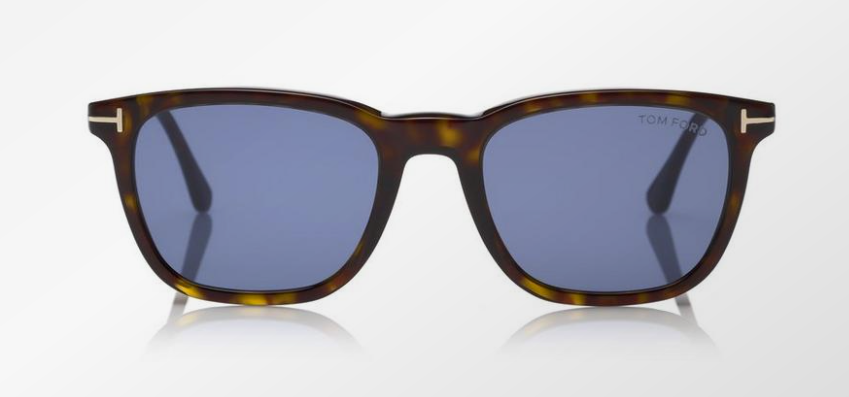 Tom Ford ARNAUD Polarized Sunglasses