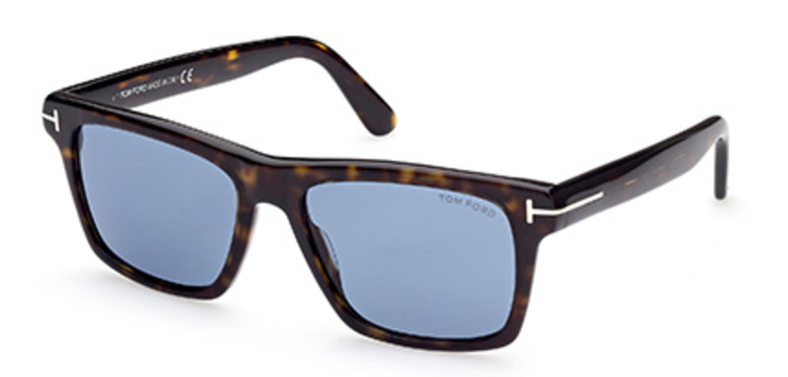 Tom Ford BUCKLEY Plastic Sunglasses