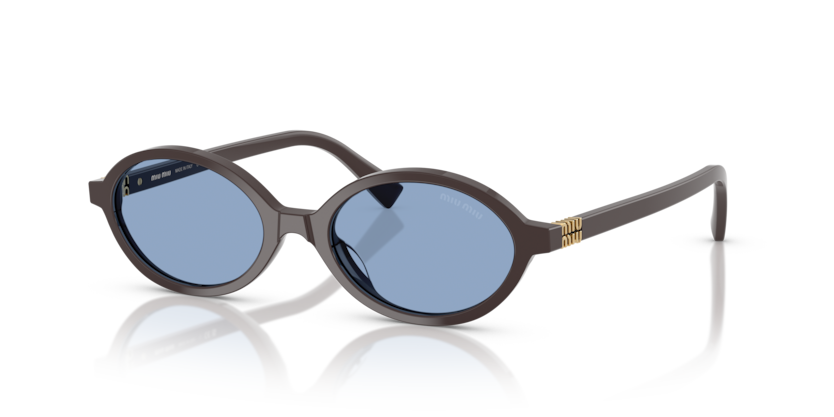 MIU MIU Oval Acetate Sunglasses