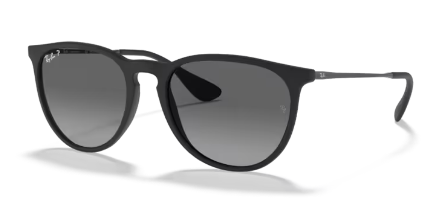 Ray Ban Erika Polarized Sunglasses