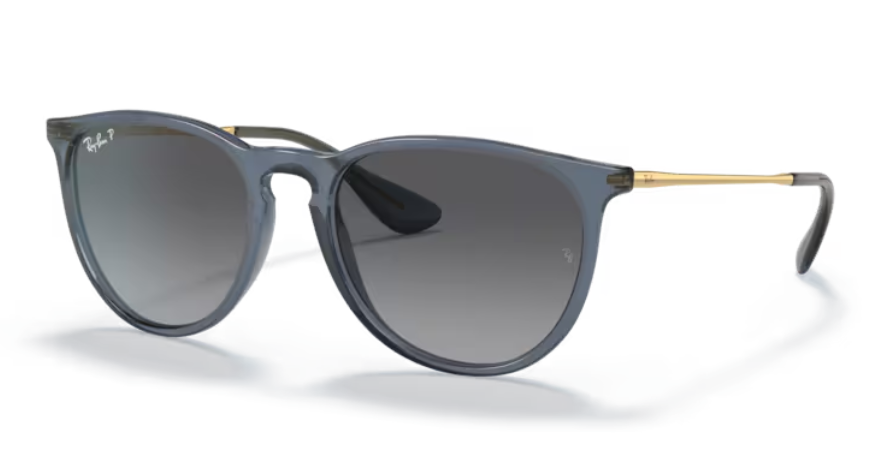Ray Ban Erika Polarized Sunglasses