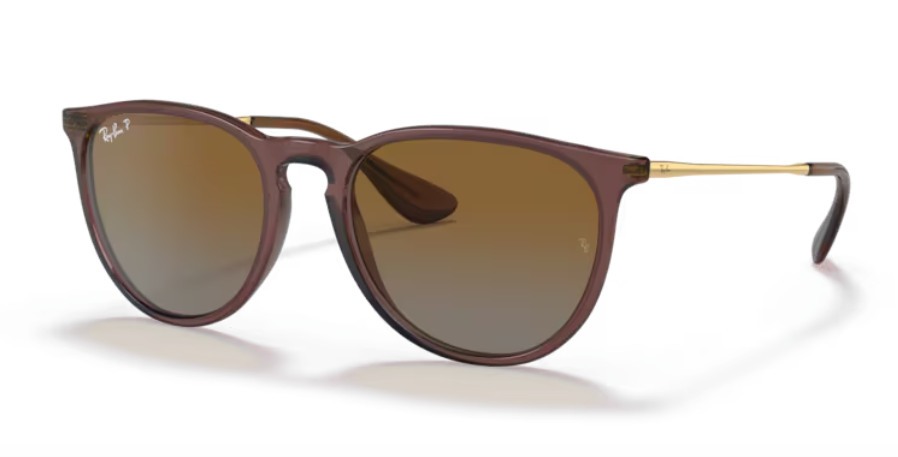 Ray Ban Erika Polarized Sunglasses