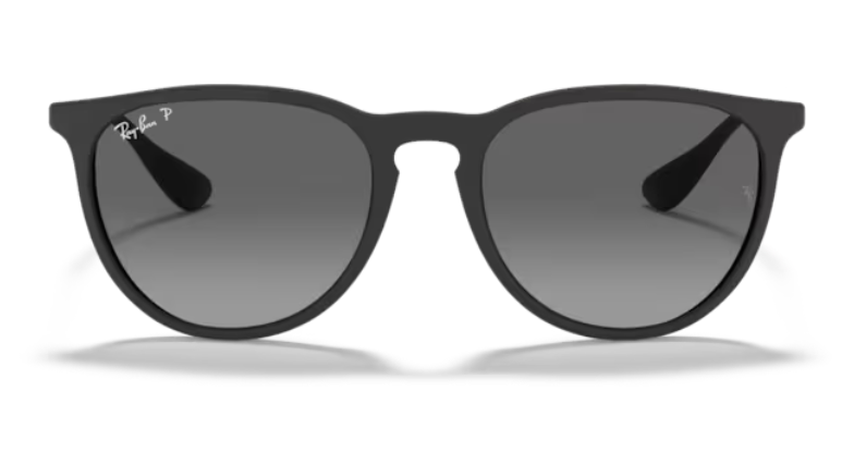 Ray Ban Erika Polarized Sunglasses