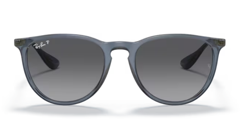 Ray Ban Erika Polarized Sunglasses