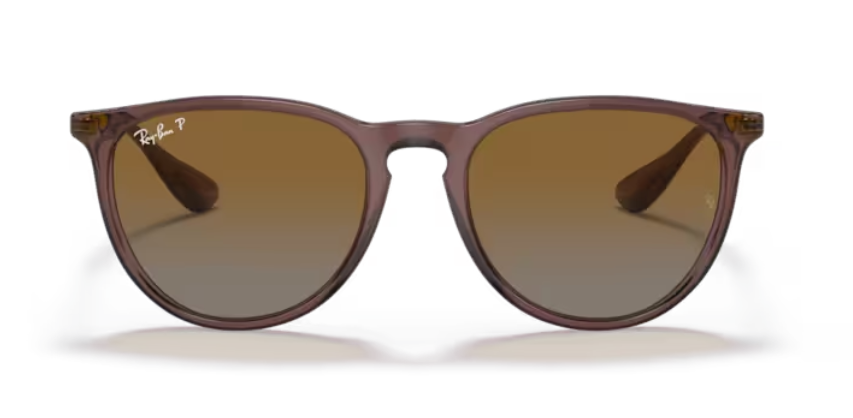 Ray Ban Erika Polarized Sunglasses