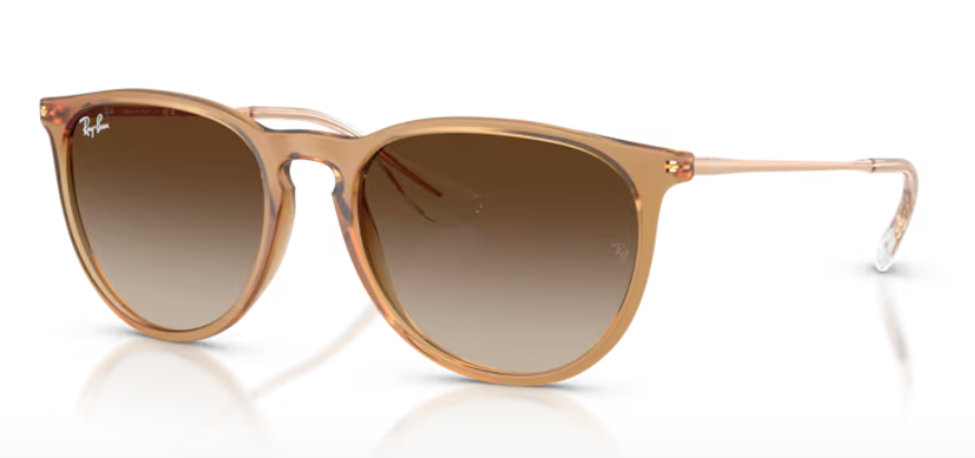 Ray Ban Erika Non-Polarized Sunglasses