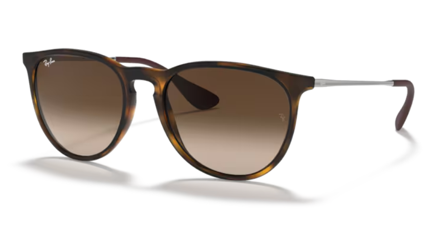 Ray Ban Erika Non-Polarized Sunglasses