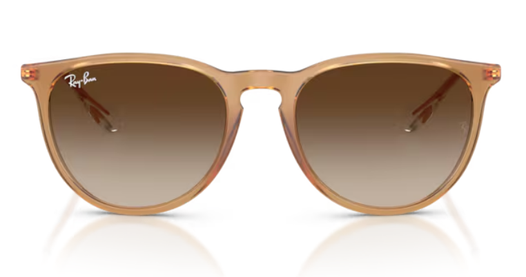 Ray Ban Erika Non-Polarized Sunglasses