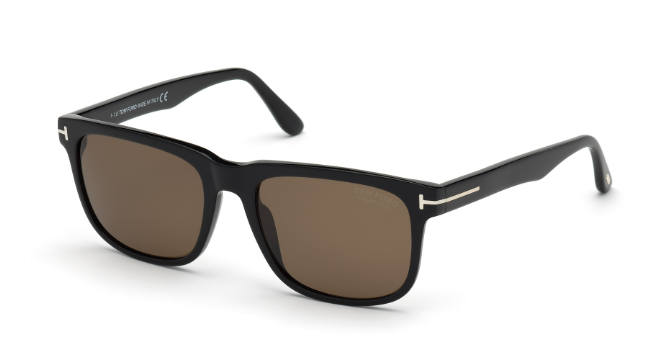 Tom Ford STEPHENSON Sunglasses