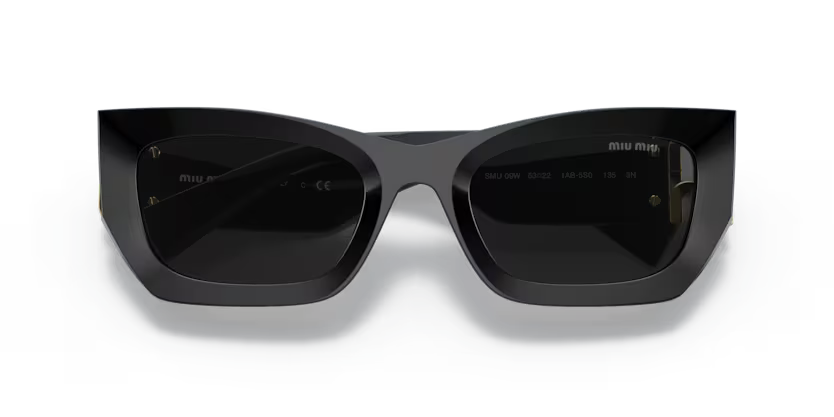 MIU MIU Rectangular Acetate Sunglasses