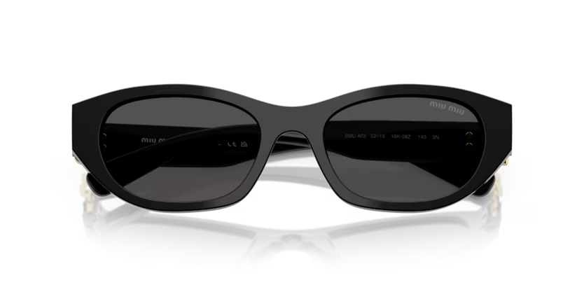 MIU MIU Oval Acetate Sunglasses