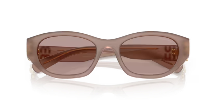 MIU MIU Oval Acetate Sunglasses