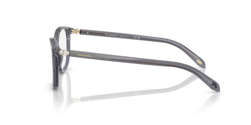 Tiffany & Co. Square Acetate Eyeglasses