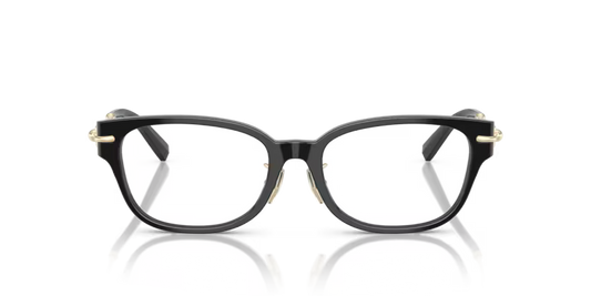 Tiffany & Co. Oval Acetate Eyeglasses