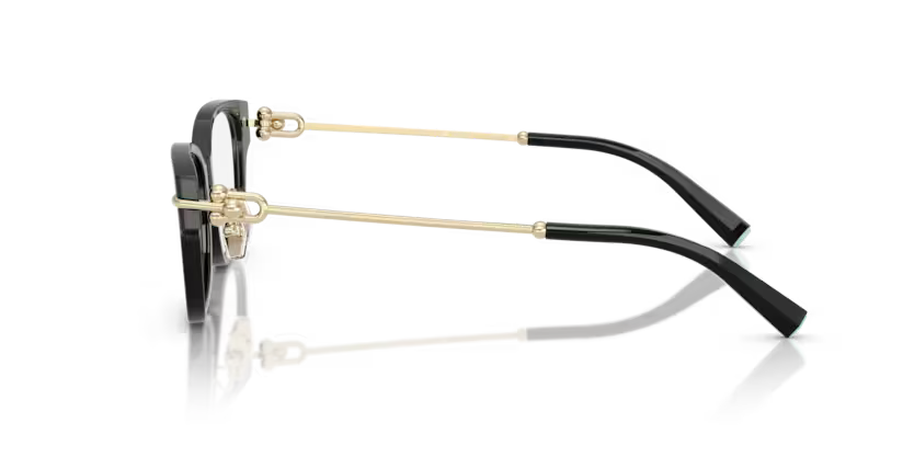 Tiffany & Co. Oval Acetate Eyeglasses