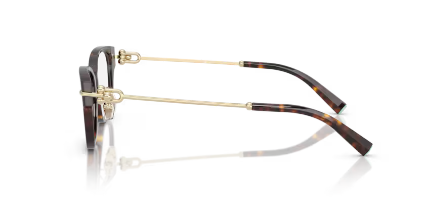 Tiffany & Co. Oval Acetate Eyeglasses