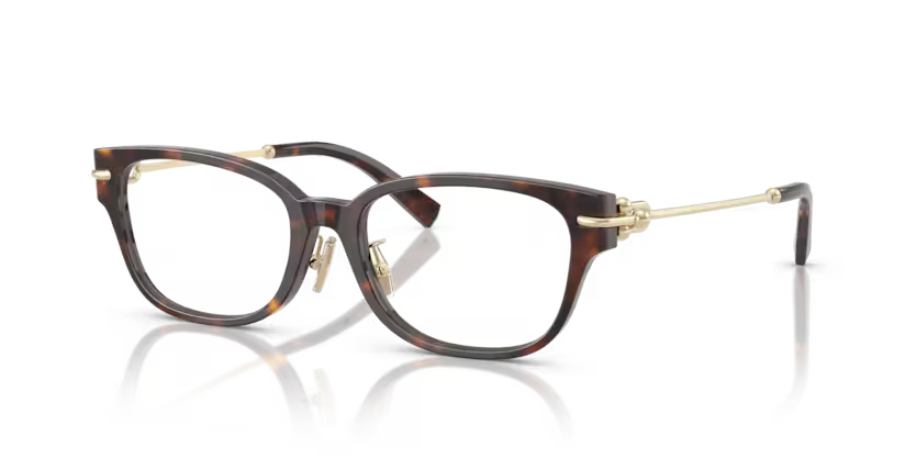 Tiffany & Co. Oval Acetate Eyeglasses