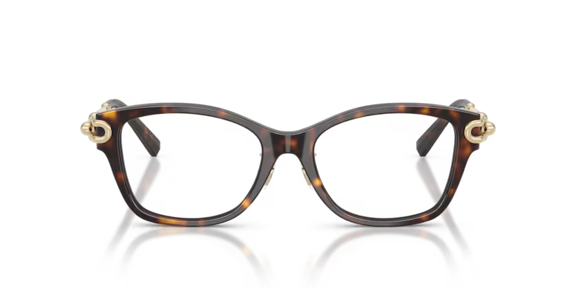 Tiffany & Co. Square Acetate Eyeglasses