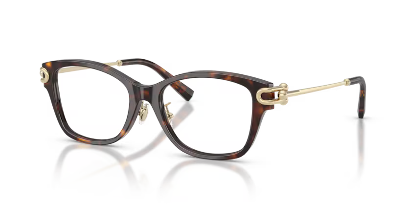 Tiffany & Co. Square Acetate Eyeglasses