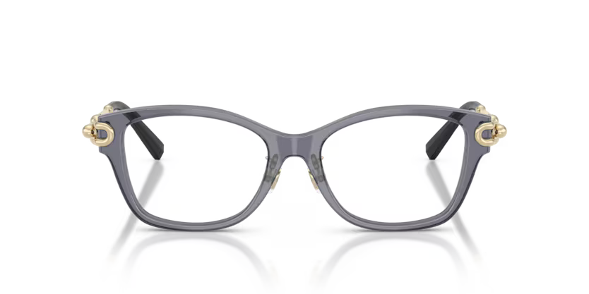 Tiffany & Co. Square Acetate Eyeglasses